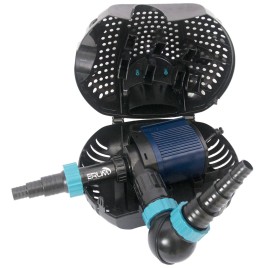 hover image