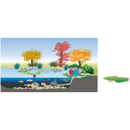 hover image