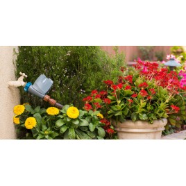 hover image