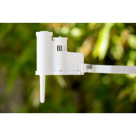 hover image