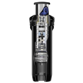 hover image